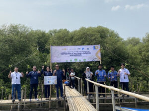 MNC Bank Tanam 200 Bibit Mangrove, Bukti Peduli Lingkungan!
