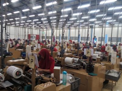 Nasib Pekerja Digital hingga K3: Suara Buruh Indonesia Menggema di ILO!