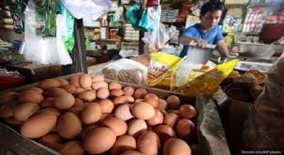 Ancaman Rp 99 Triliun! Ultimatum Keras Satgas Pangan!