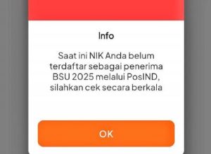 Rezeki Nomplok! BSU Rp600 Ribu Tiba-tiba Cair, Begini Caranya!