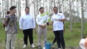 Investasi Hijau: Andi Yuslim Patawari Tanam Pohon di Malaysia, Gaungkan Industri Berkelanjutan!
