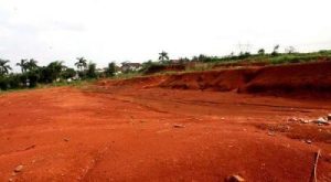 Tanah Terlantar Jadi Rebutan? Istana Siap Ambil Alih!