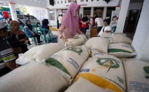 Bantuan Pangan 2026: Anggaran Melonjak Drastis!