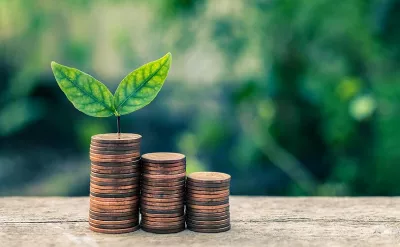 Indonesia Darurat Hijau!  Target Nol Emisi 2050, Mungkinkah?