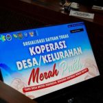 Petani Untung Besar! Rahasia di Balik Sukses Panen Raya