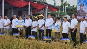 Panen Raya di Lahan Sitaan Koruptor Asabri!
