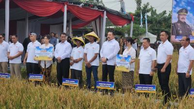 Panen Raya di Lahan Sitaan Koruptor Asabri!