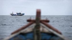 Heboh! Indonesia Bakal Punya Lembaga Halal Khusus Seafood!