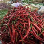 Harga Cabai Meroket! Dompet Emak-Emak Menjerit?