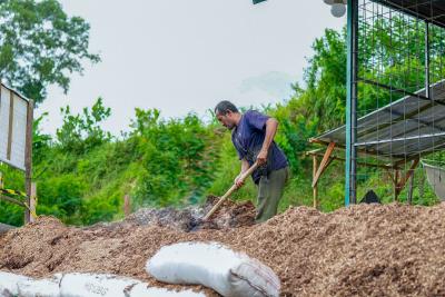 Bioenergi: Senjata Rahasia RI Jadi Negara Superpower Energi?