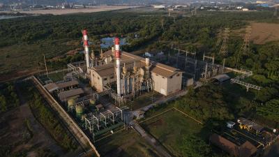 Laba CDIA Meroket 300%! Prajogo Pangestu Panen Cuan Triliunan