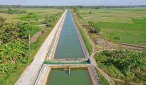 Wartakini 16 Terungkap! Jurus Ampuh Petani RI Taklukkan Kemarau Ekstrem