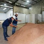 Revolusi Energi: Indonesia Sulap Sampah Jadi Kekuatan Baru!