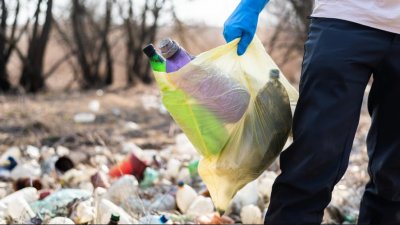 Sampah Jadi Emas! Danantara Luncurkan Denera, Proyek Energi Bersih Triliunan!