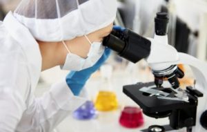 bio farma genjot ekosistem halal indonesia makin diperhitungkan dunia