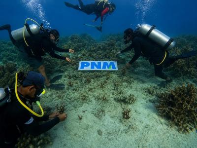 Terungkap PNM Jaga Laut Demi Masa Depan Cerah 3 Terungkap PNM Jaga Laut Demi Masa Depan Cerah
