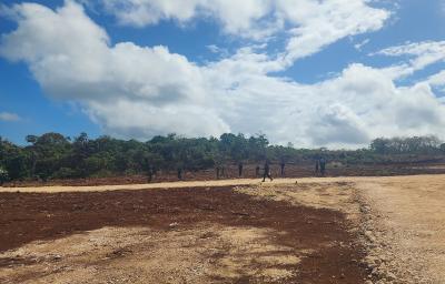 Maluku Siap Panen Rezeki dari Lapangan Abadi