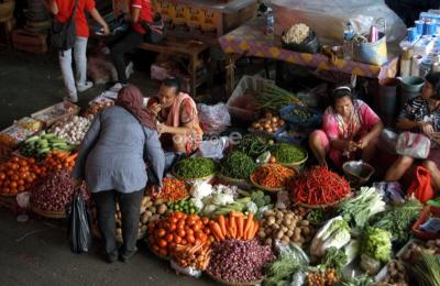 Pemerintah Bongkar Kunci Stabilnya Bawang Putih 5 Pemerintah Bongkar Kunci Stabilnya Bawang Putih