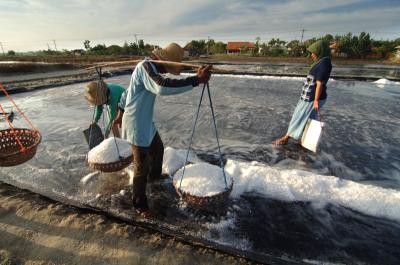 Rote Ndao Siap Jadi Jantung Garam Nasional RI 6 Rote Ndao Siap Jadi Jantung Garam Nasional RI