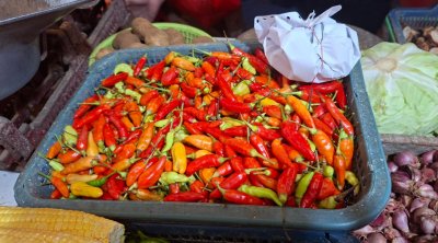 Harga Cabai Meledak Pemerintah Punya Rencana Rahasia 5 Harga Cabai Meledak Pemerintah Punya Rencana Rahasia