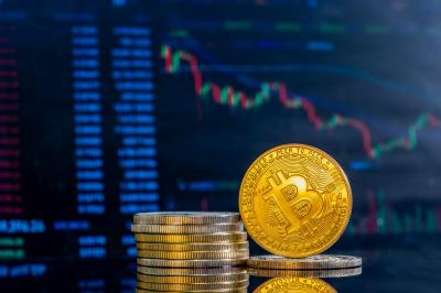 Investor Serbu Bitcoin ETF Meski Harga Anjlok 7 Investor Serbu Bitcoin ETF Meski Harga Anjlok