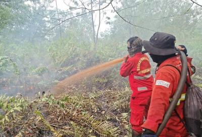 Terungkap 5 Perusahaan Dicabut Izin Akibat Karhutla 5 Terungkap 5 Perusahaan Dicabut Izin Akibat Karhutla